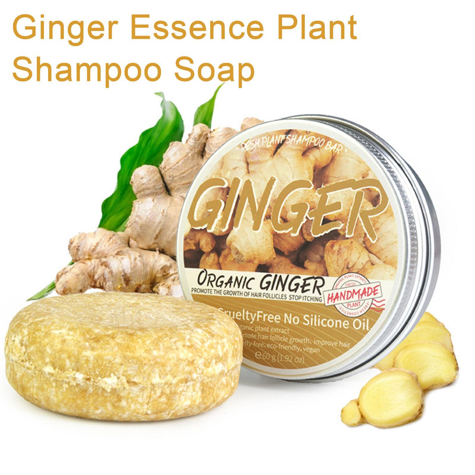 Hair Care Elseve - 진저 폴리고눔 비누 샴푸, 차가운 가공
