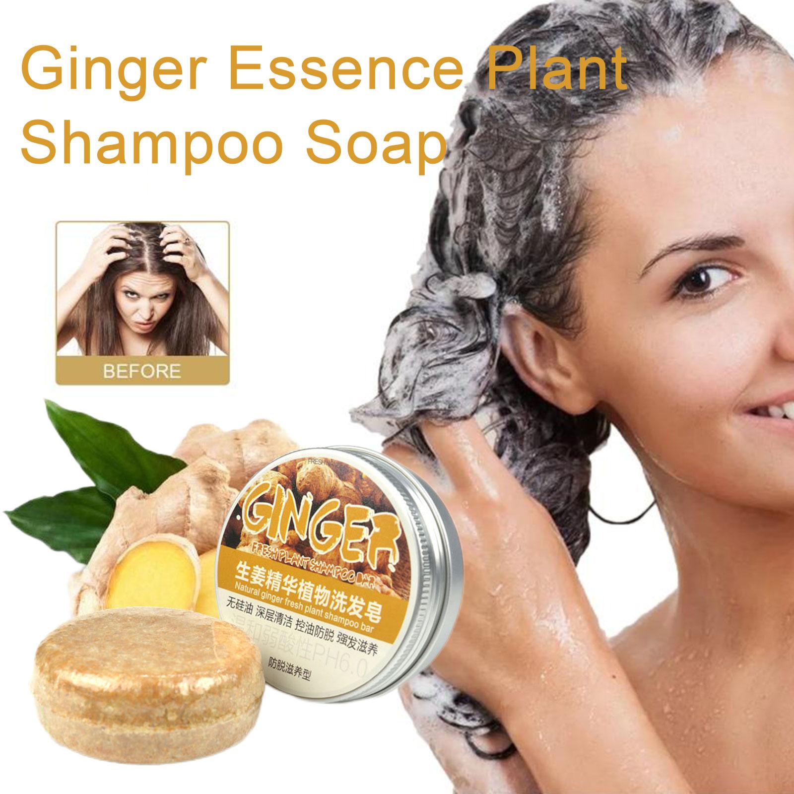 진저 폴리고눔 비누 샴푸, 차가운 가공 비누 헤어 샴푸 - Hair Care Elseve 리뷰 및 가격