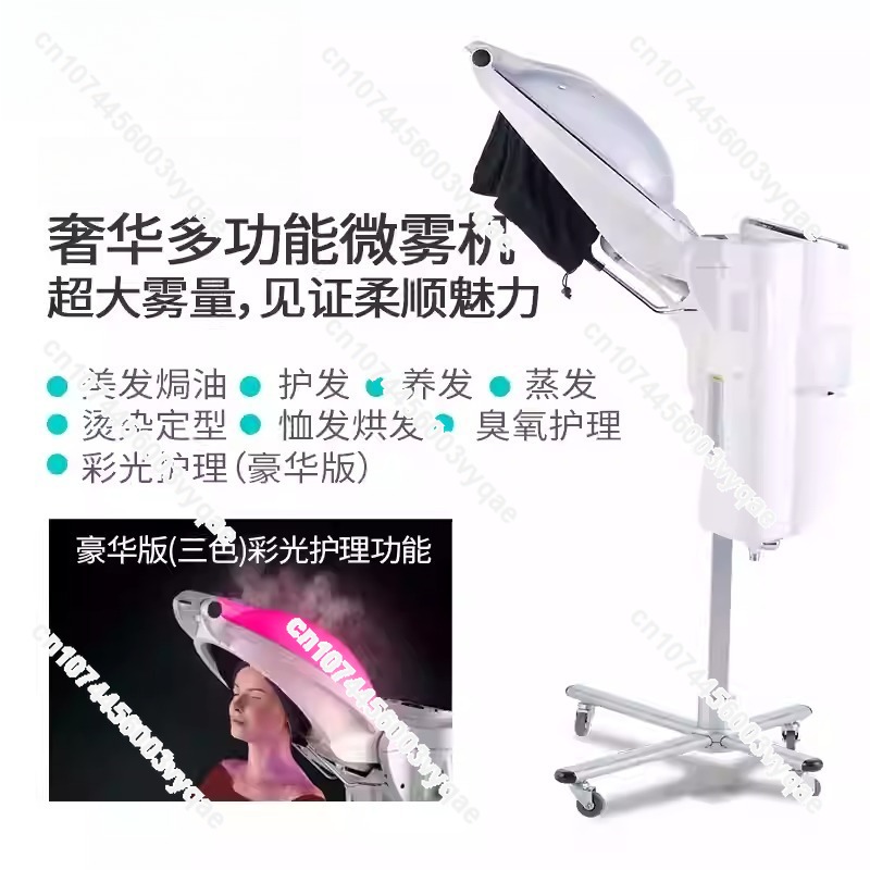 오일 트리트먼트 오존 마이크로 미스트 스팀 헤어 케어  - Hair Care Tools 리뷰 및 가격